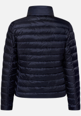 Steppjacke mit Stehkragen / Rückseite