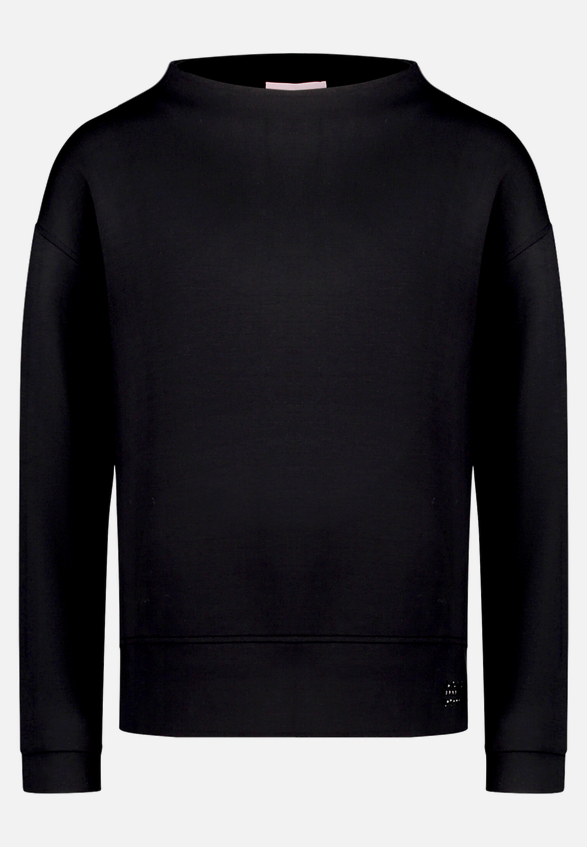 Sweatshirt mit Stehkragen / Vorderseite