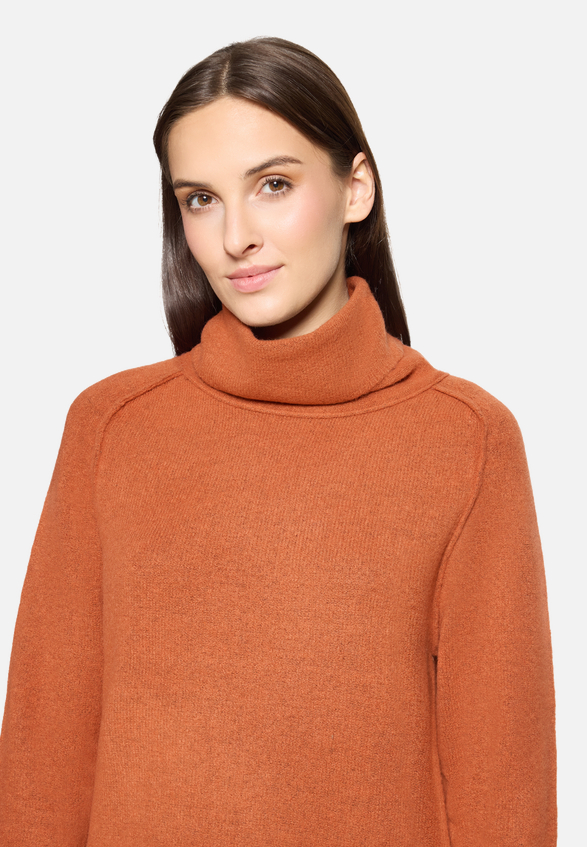 Strickkleid mit Turtle Neck / Detailbild