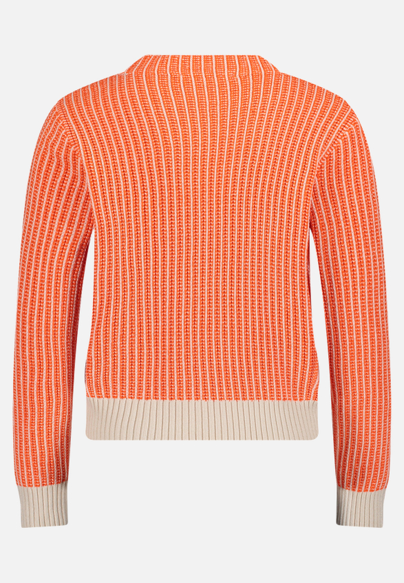 Strickpullover mit Strickdetails / Rückseite