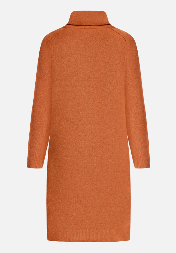 Strickkleid mit Turtle Neck / Rückseite