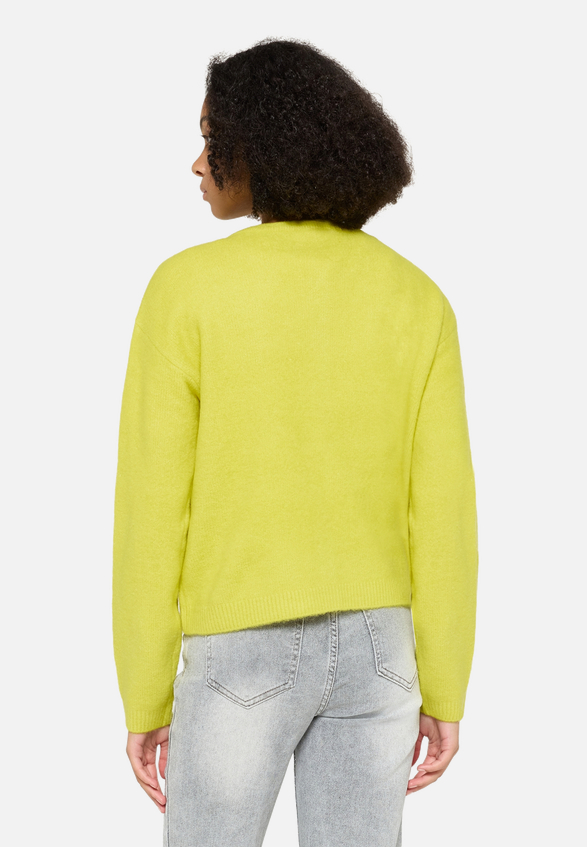 Strick-Cardigan mit Rundhalsausschnitt / Modellfoto Rückseite