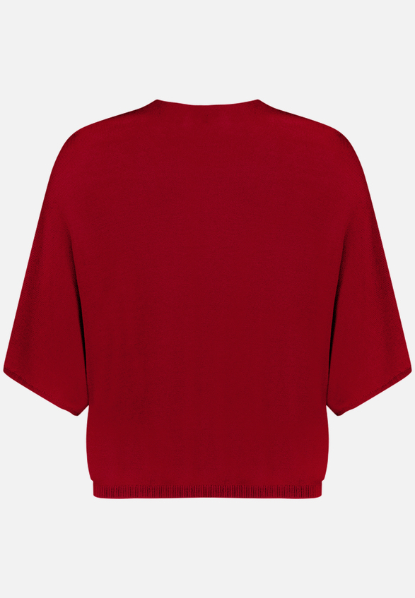 Kurzarmpullover  mit V-Ausschnitt / Rückseite