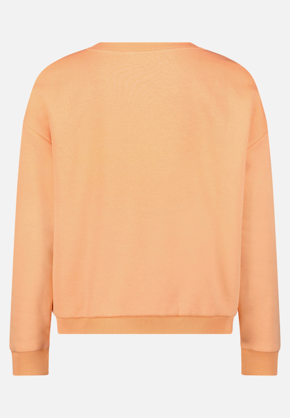 Sweatshirt mit Rippbündchen / Rückseite