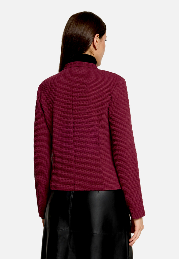 Blazer-Jacke  mit Reißverschluss / Modellfoto Rückseite