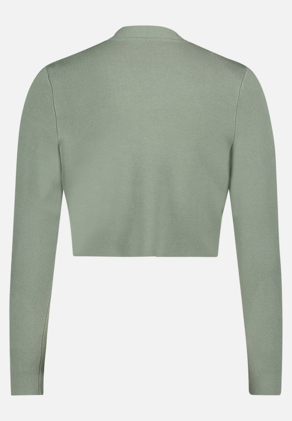 Feinstrickjacke ohne Verschluss / Rückseite