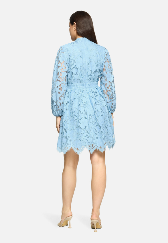 Spitzenkleid mit Spitze / Modellfoto Rückseite