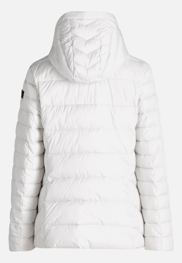 Steppjacke mit abnehmbarer Kapuze / Rückseite