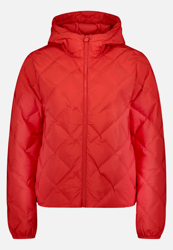 Leichte Steppjacke  mit Kapuze  / Vorderseite