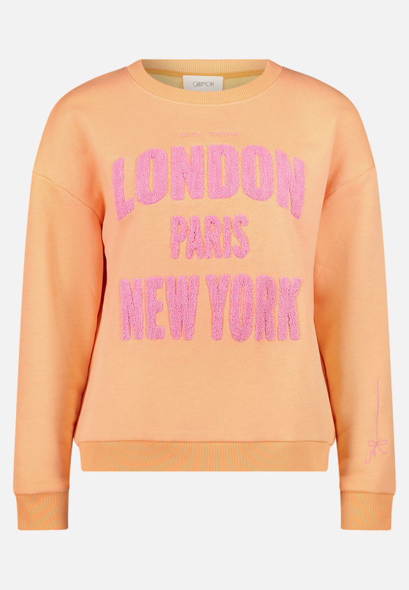 Sweatshirt mit Rippbündchen / Vorderseite