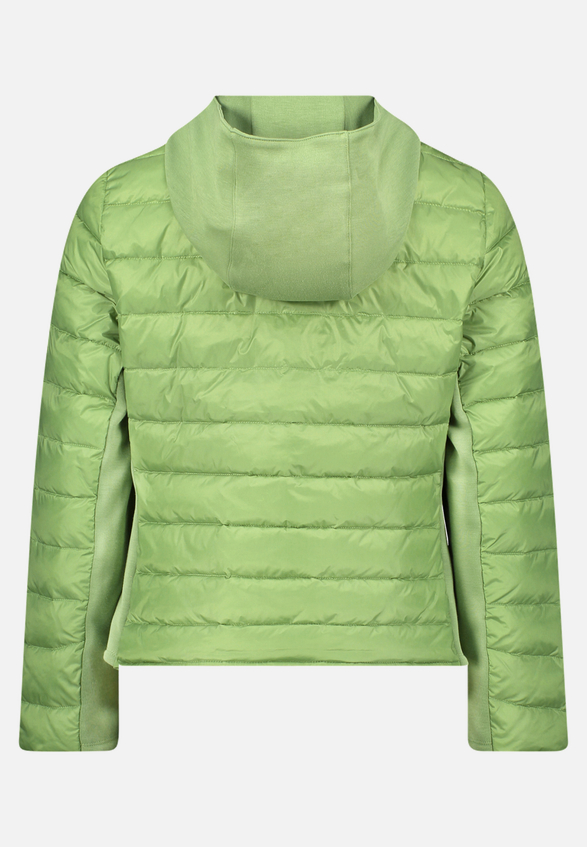 Steppjacke mit abnehmbarer Kapuze / Rückseite