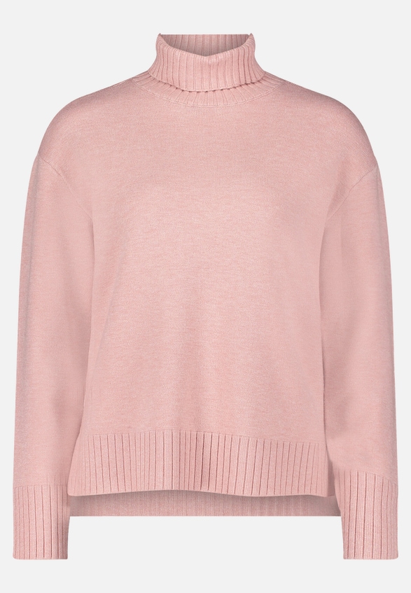 Feinstrickpullover mit hohem Kragen / Vorderseite