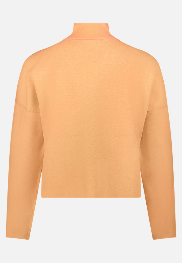 Strick-Cardigan mit Stehkragen / Rückseite