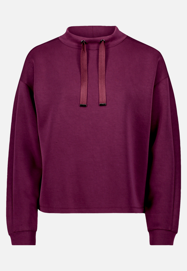 Sweatshirt mit Stehkragen / Vorderseite