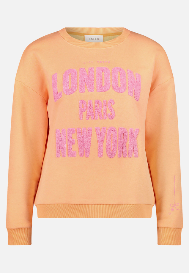 Sweatshirt mit Rippbündchen / Vorderseite