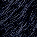 Night Sky