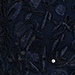 Night Sky