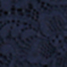 Night Sky