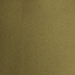 Shiny Olive