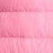 Pink Carnation