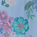 Blue/Rosé