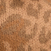 Camel/Braun