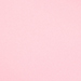 Flamingo Pink