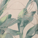 Beige/Green