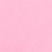 Pink Carnation