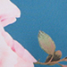 Petrol/Pink