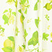 Green/Yellow