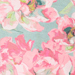 Mint/Rosé