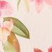 Cream/Rosé