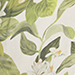 Cream/Green
