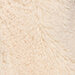 Champagne Sorbet