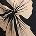 Schwarz/Beige