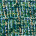 Green/Petrol