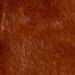 braun