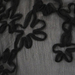 Black Beauty