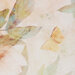 Cream/Apricot