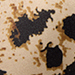 Beige/Schwarz