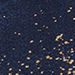 Dark Blue/Nature