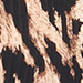 Schwarz/Beige