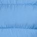 Coronet Blue