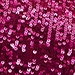 Sweet Berry