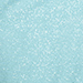 Mint/Silver