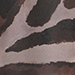Brown/Cream
