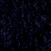 Night Sky