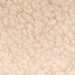Ivory Cream