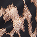 Schwarz/Beige